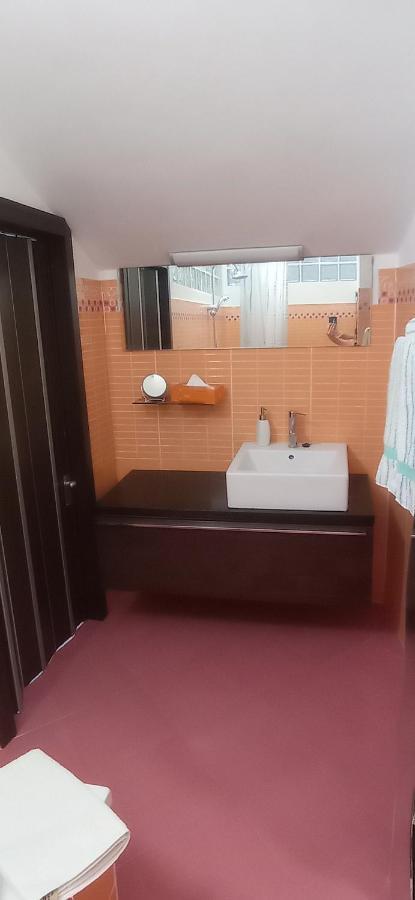 Mansardato Ipatrizi Apartment Moncalieri